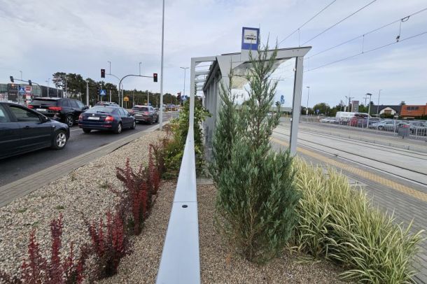 Samochody na ulicy i zielony przystanek